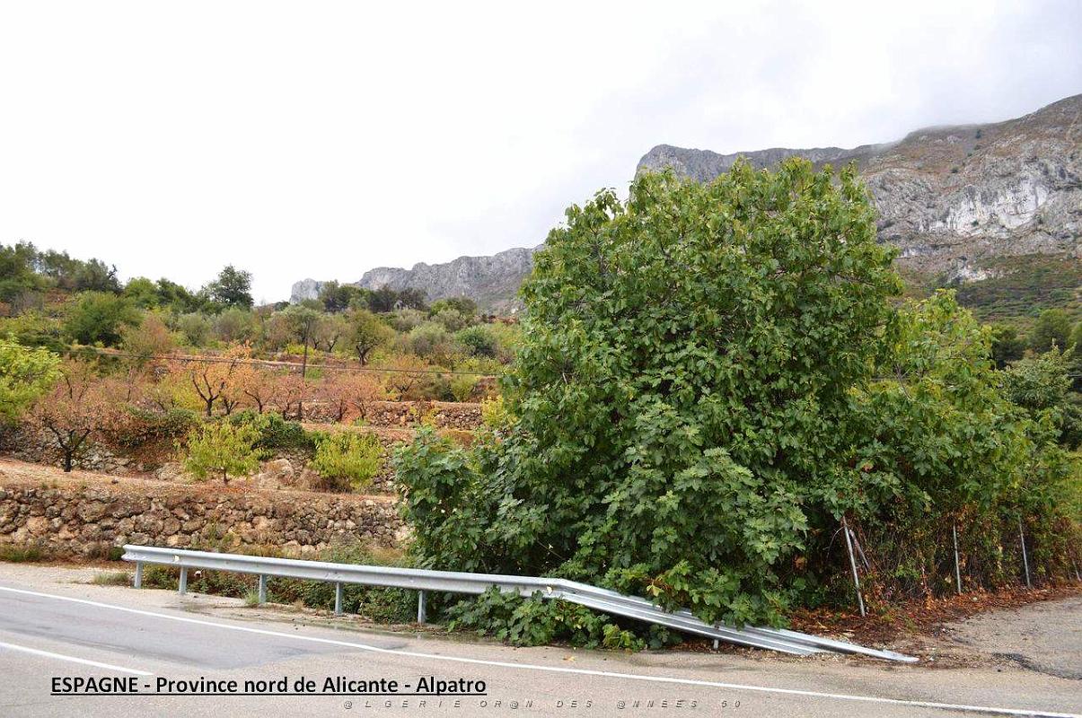 081- Alpatro.JPG